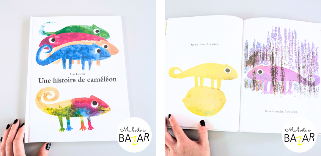 Livres jeunesse pour apprendre les couleurs en maternelle